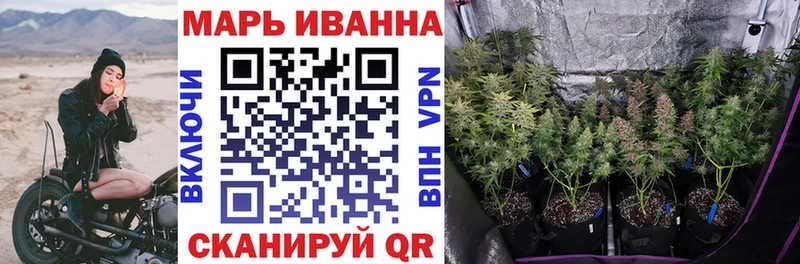 Конопля сатива Каменка